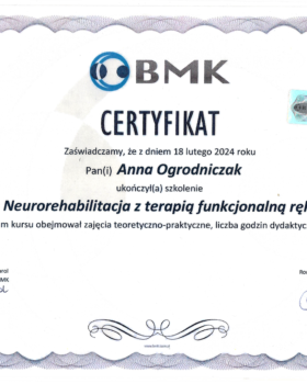 2024.02.17-18 Neurorehabilitacja z terapią funkcjonalną ręki - Wrocław - zdjęcie
